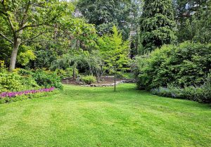 Optimiser l'expérience du jardin à Le Pasquier