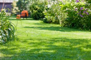 travaux jardin et paysage Le Pasquier